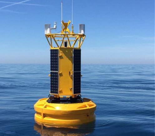 How to Choose the Right Marine Buoys for Your Project?